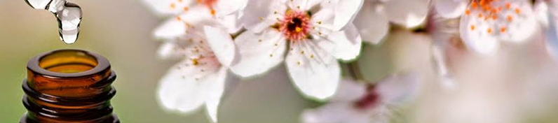 Fiori di Bach