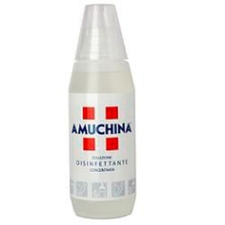 Amuchina Disinfettante 500ml