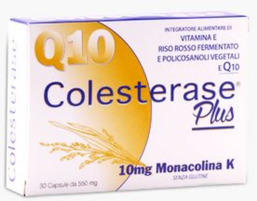 WP Corporate Colesterase Plus 30 Compresse