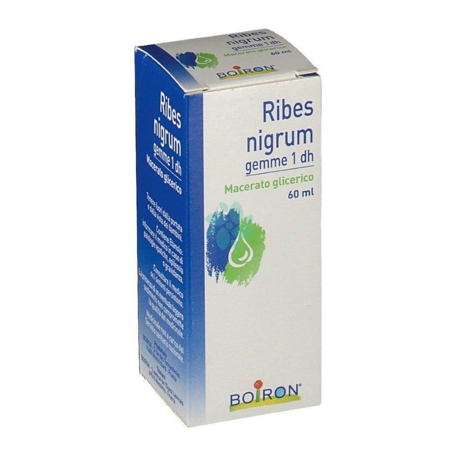 Boiron Ribes Nigrum Macerato Glicerico Gemme 60ml