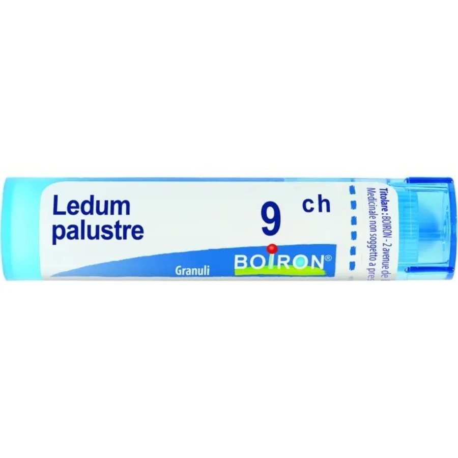 Boiron Ledum Palustre Granuli 9Ch Tubo 4G