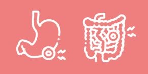 Immagine per la categoria Stomaco e Intestino