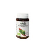 Arkopharma Arkocps Ginkgo Bio 45 Compresse