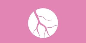 Immagine per la categoria Circolazione e Microcircolo