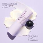 Caudalie Vinotherapist Lip Conditioner Nutriente Antiossidante