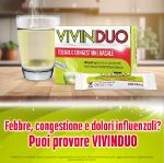 VivinDuo Febbre e Congestione Nasale 500mg/60mg 10 Bustine 