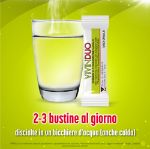 VivinDuo Febbre e Congestione Nasale 500mg/60mg 10 Bustine 