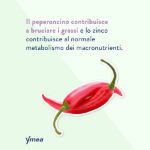 Ymea Pancia Piatta Menopausa 64 Capsule Compresse