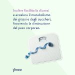 Ymea Silhouette Menopausa 64 Capsule Compresse