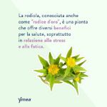 Ymea VampControl Benessere Menopausa 64 Compresse