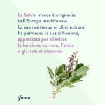 Ymea 8in1 30 Compresse