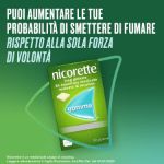 Nicorette 30 Gomme da masticare medicate resinato di nicotina 2mg