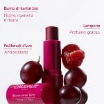 Caudalie Vinotherapist Balsamo Labbra Colorato 4,5g