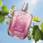 Caudalie The Des Vignes Acqua Profumata 50ml