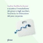 Ymea Silhouette Menopausa 64 Capsule Compresse - ZERO SPRECHI