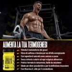 ProAction Thermo Stack Metabolic booster 90 compresse