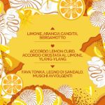 VERALAB Lemon Tart Kit 