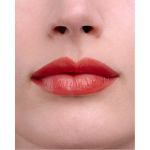 Bionike Defence Color Nutri Shine Rossetto Luminoso 04s rose blossom